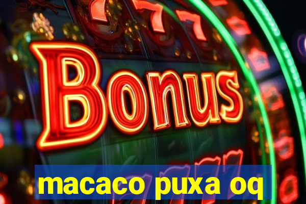 macaco puxa oq